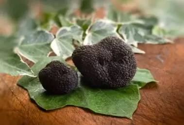 Il tartufo nero di Bagnoli