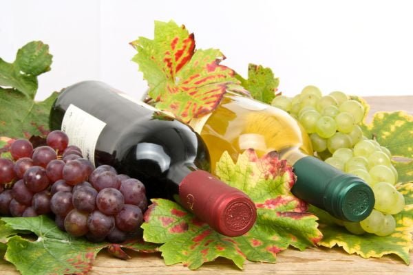 White and red wine, wine bottles