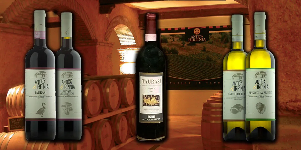 I vini di Antica Hirpinia a Taurasi