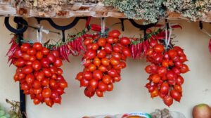 Pomodorino del Piennolo del Vesuvio DOP